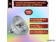 Osram Decostar Titan 46865 WFL 35w 36° 12v GU5.3