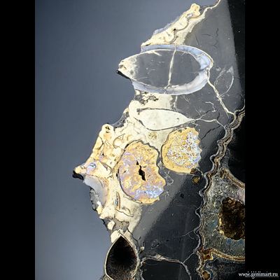 Аммонит, пирит, кальцит, полированный срез. С подставкой. Россия. 215*215*25мм