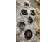 Муфта упругая СМ-5000-SCB-14-64958