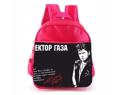 Рюкзак розовый Сектор Газа, Юрий Хой №33
