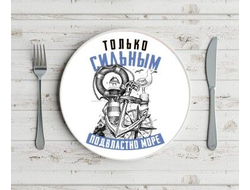 Тарелка #16 ВМФ России