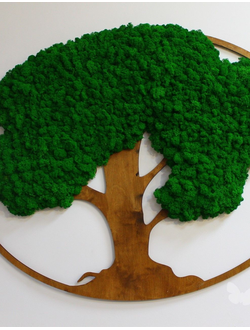 ЖИВАЯ ЭКО-КАРТИНА 1014 (100х75см)