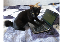 Воронина Н П "Програмист"