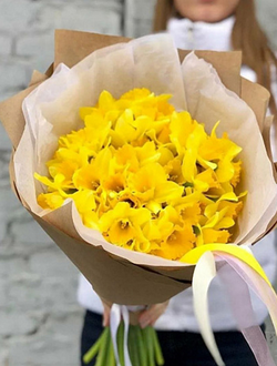 Букет из 35 нарциссов
