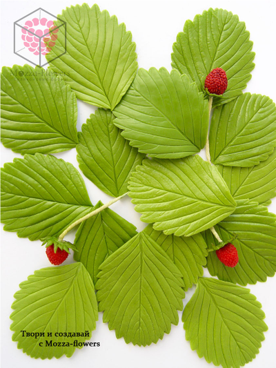 Набор вайнер и каттеры "Листья земляники"