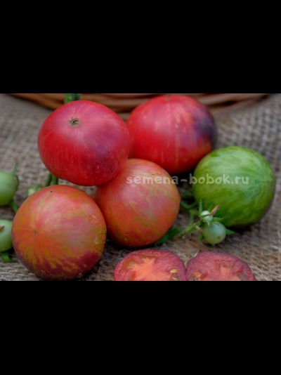 Томат Dwarf Gondwana Lightning (Гном Гондвана Молния), 10 шт