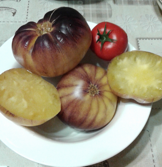 Семена томата Сарт Ролуаз