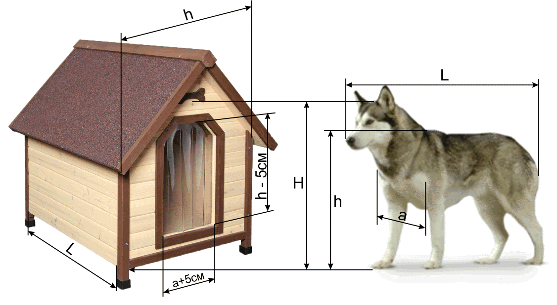 Как построить будку для собаки своими руками. Собачья конура для овчарки. Конура для собаки хаски Размеры. Собачья конура для немецкой овчарки. Волье контура для овчарки чертеж.
