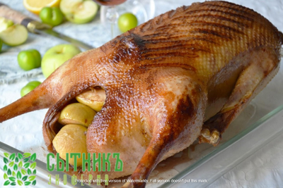 Гусь домашний купить