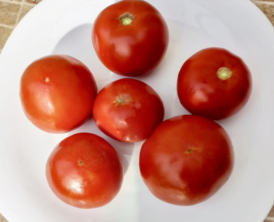 Томат Штамбовый крупноплодный