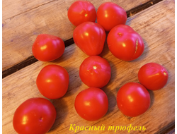 Томат Трюфель красный