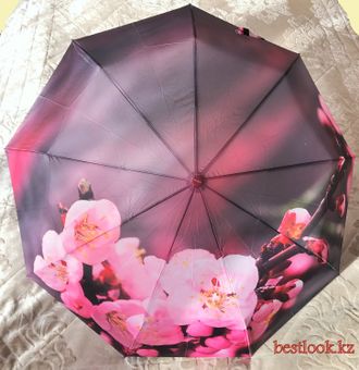 зонтик с сакурой