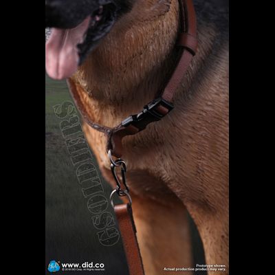 Немецкая овчарка (Служебная собака) - Коллекционная ФИГУРКА 1/6 scale German Shepherd (AS003) - DID