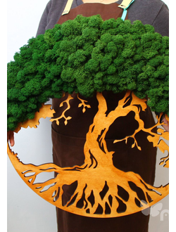 Живая Эко-Картина 1071