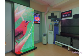 видеопилон купить в Тюмени