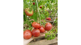 Красавчик папа