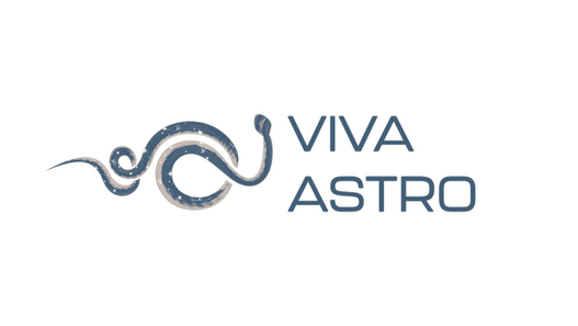 Тихоокеанская академия астрологии и языкознания
VIVA ASTRO