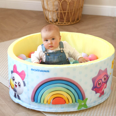 Сухой бассейн Romana Airpool "Профессии" ДМФ-МК-02.56.01 голубой купить в Воронеже