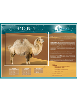 Одеяло "Гоби" Лёгкое  2,0 - спальное