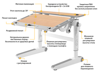 Растущий стол Ergowood - M Multicolor Energy (клен)