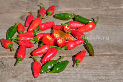 Перец острый Jalapeno Mini (Халапеньо Мини), 10 шт