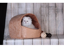 ДОМ СКАФАНДР