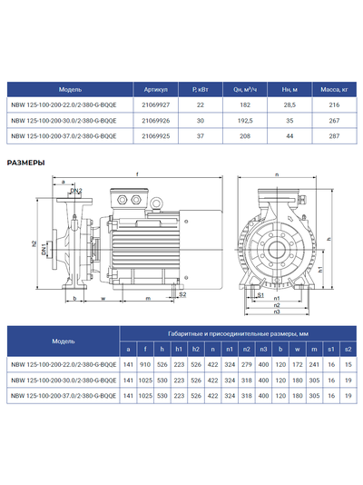 NBW 125-100-200-37.0/2-G