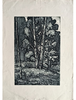"Берёзы" офорт, акварель Тупикин Р.Ф. 1968 год