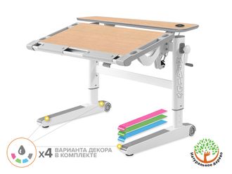 Ergowood-M-Multicolor-Energy