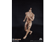 Тело стандартное с шеей 1/6 - NEW:2.0  Body NO: BD009 - COOMODEL
