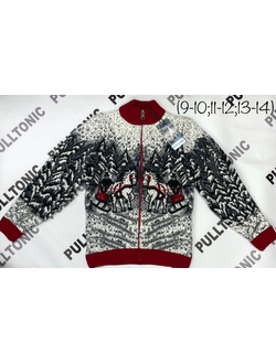 Подростковый свитер на молнии Кони 02