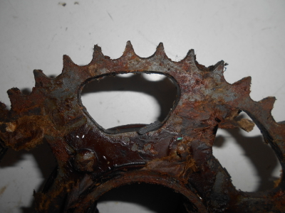 Ведомая звезда Тула Турист Тулица