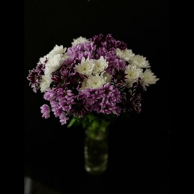 Хризантема кустовая микс 15 шт