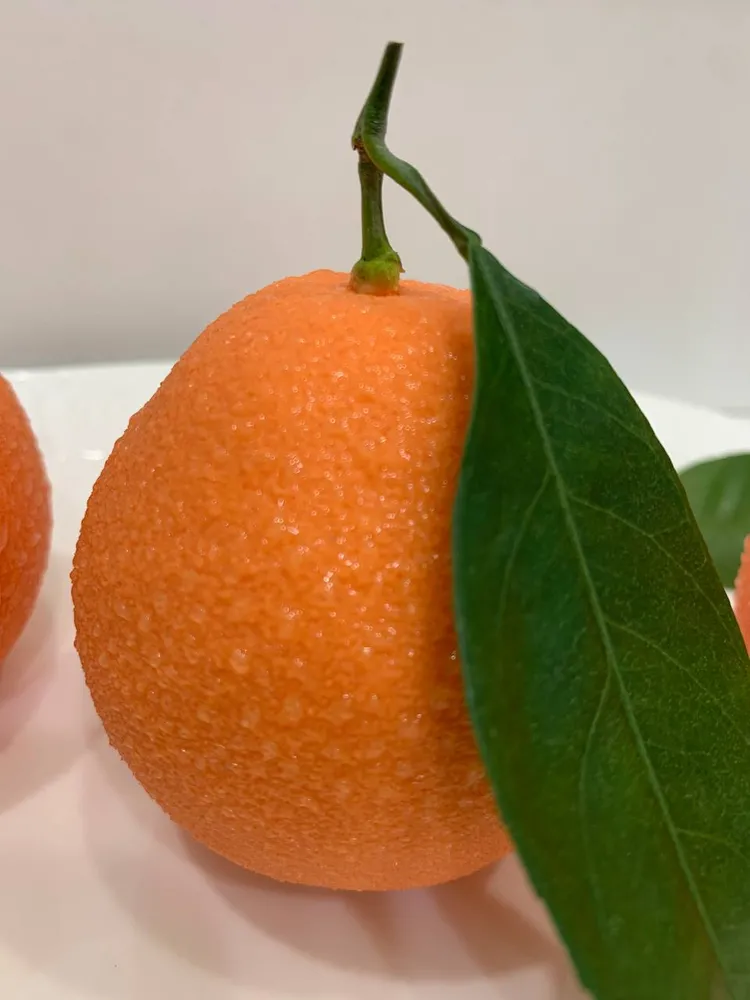 Муссовое пирожное
Ванильный мусс+сочный мандарин и манго
Стоимость 500р/шт, минимальный заказ 6 шт
Предложение сезонное! 