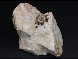 Циркон (кристаллы в породе), Россия, Южный Урал (35*29*25 мм, 31 г) №26069