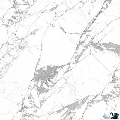 Керамогранит Belani Bursa белый 60х60 см матовый Береза керамика