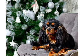 Русский Джекпот Мелани