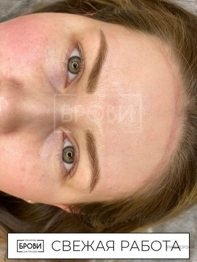 Палочки корицы Брови Анны Куцеволовой - pm-shop24.ru