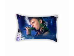 Подушка Сектор Газа, Юрий Хой №3