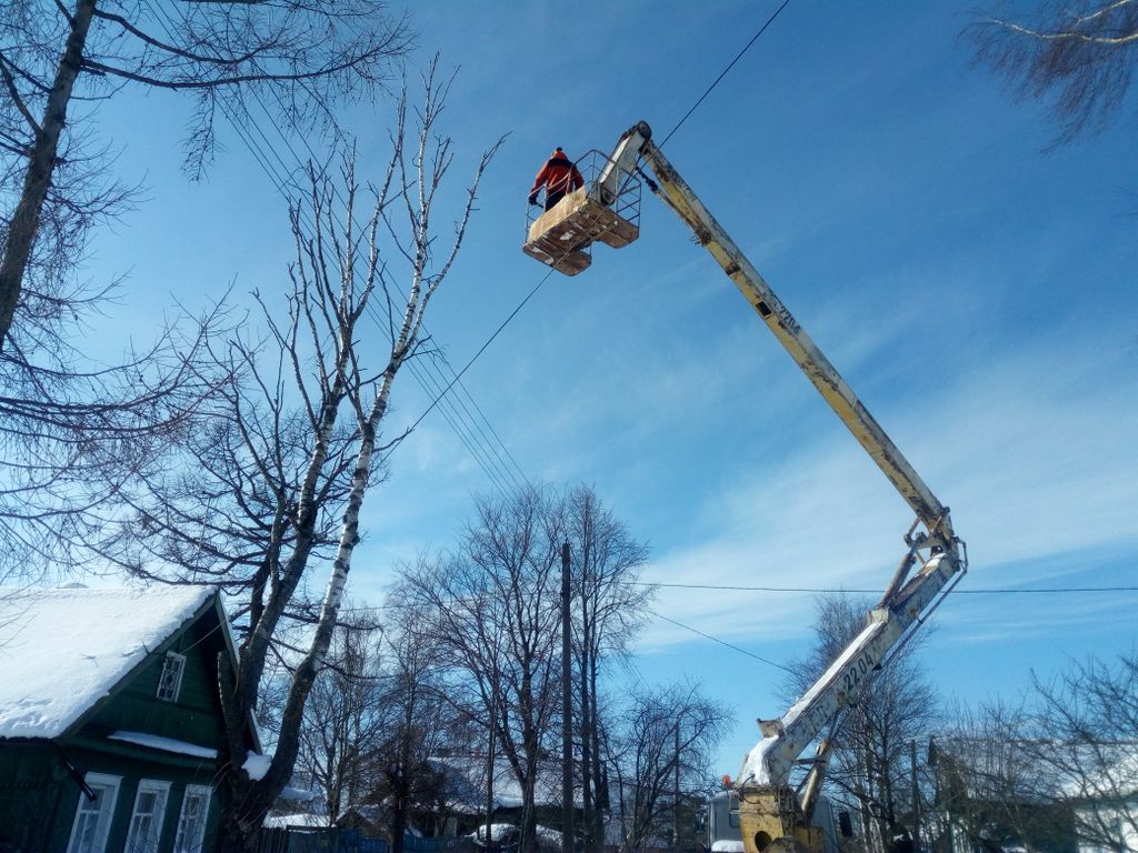 Спил дерева с автовышкой или краном