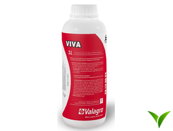 Вива (Viva)