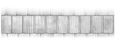 СИБИРСКАЯ ДРАНКА, ЦВЕТ ПЕСОК