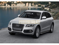 Пороги на AUDI Q5 (2008-2016) Premium