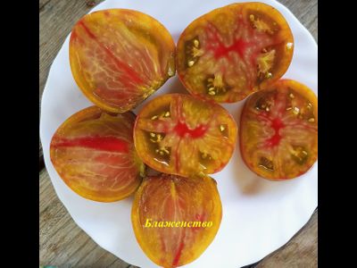 Томат Блаженство