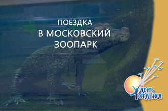 Поездка в Московский зоопарк