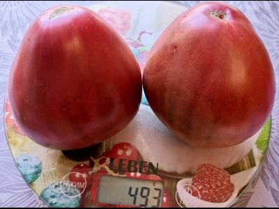 Томат Черное сердце Америки