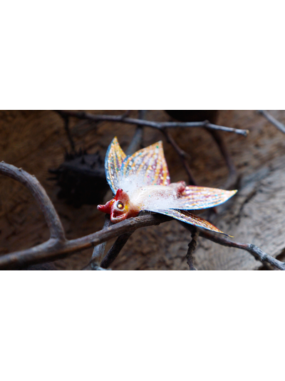 "Бабочка Вогненной Лисички", кулон из глины и шёлка