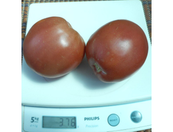 Томат Воловье сердце минусинское