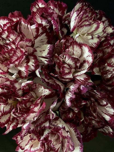 Гвоздика 15 шт