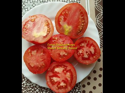 Томат Гном Подлый соус Dwarf Sneaky Sauce)